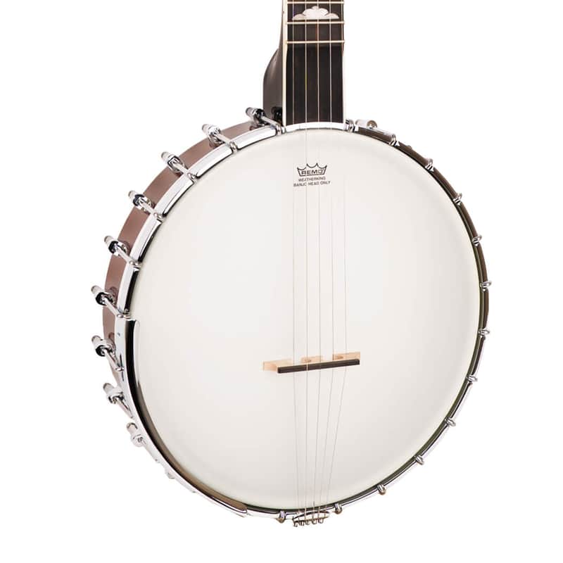 Gold Tone Mastertone WL-250 White Ladye Openback Banjo w/Case image 1