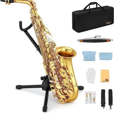 Eb Alto Saxophone with F# Key, Gold Lacquer | Intermediate Student Alto Sax Kit with Case, Stand & Accessories image 5