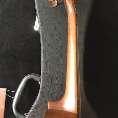 Lyon & Healy / Washburn Soprano 1920s image 13