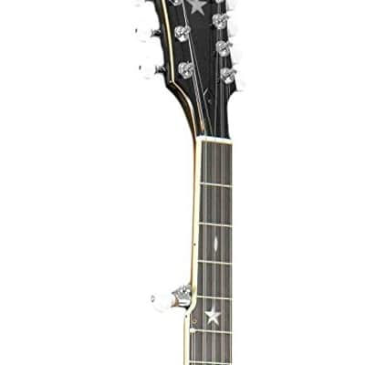 Gold Tone OT-10 Maple Neck Open Back 10-String Banjitar w/Hardshell Case image 4