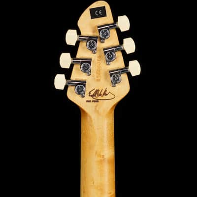 Peavey USA EVH Wolfgang 1997 Black - One of the First! - Floyd Rose w D-Tuna image 7