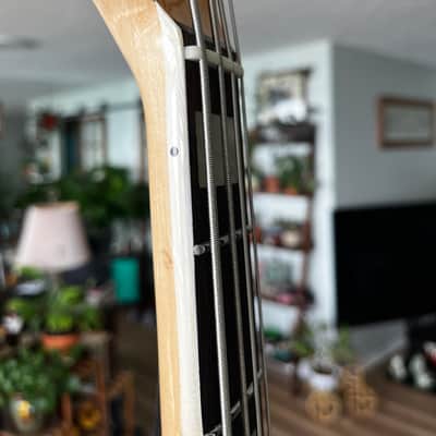Fender Jazz Bass 1974 image 14