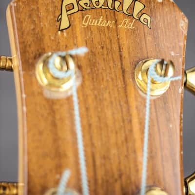 Early vintage handmade USA Pedulla Buzz MVP 1983 Natural image 10