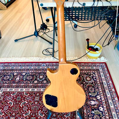 Gibson Les Paul Smartwood Exotic 2001 image 2