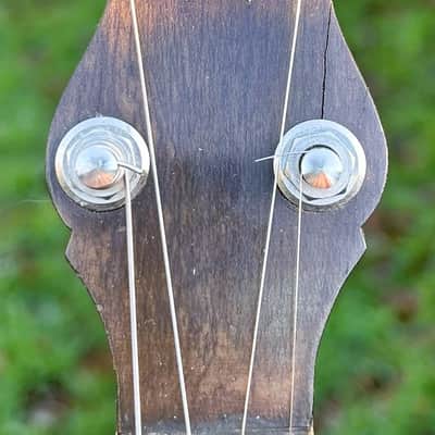 Vega Whyte Laydie Style R Tenor Banjo image 6