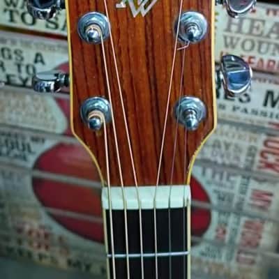 Ibanez Artwood AW Series Dreadnought 1996 - Natural image 4