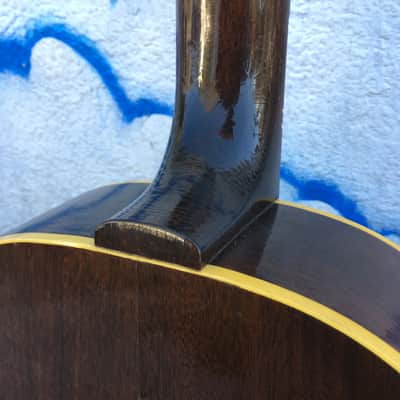 Epiphone 12 String Bard 1960s image 9