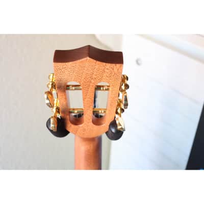 Kala KA-ASCP-T Solid Cedar Top Pau Ferro Tenor Ukulele – Satin Finish image 17
