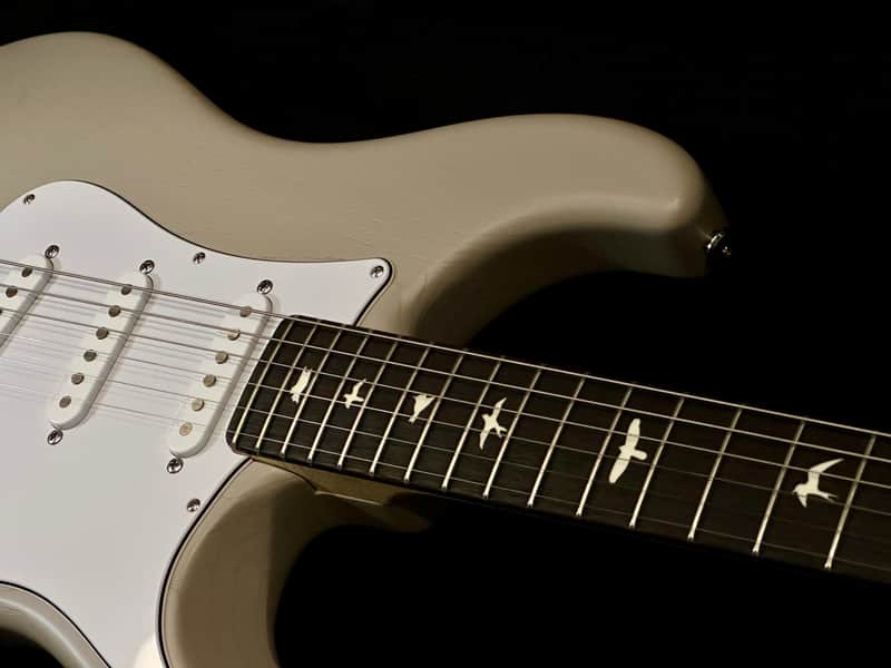 PRS Silver Sky "Dead Spec" Limited image 1