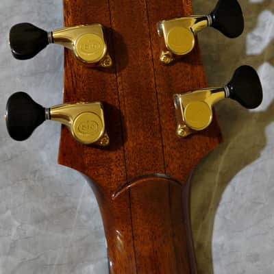 Kathy Wingert Model EVC - (Brazilian RW) image 18