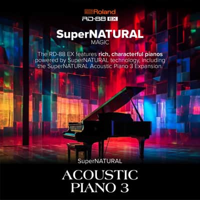 Roland Premium Digital Stage Piano RD-88 EX image 6