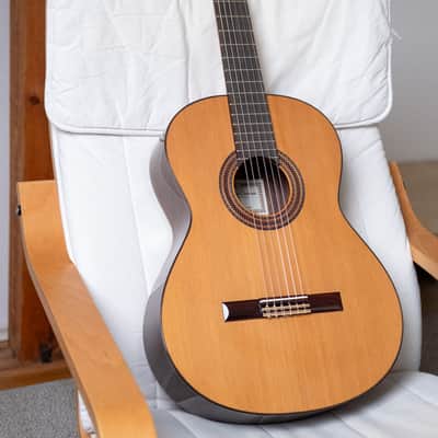 Francisco Castañeda 203 Classic Guitar image 1