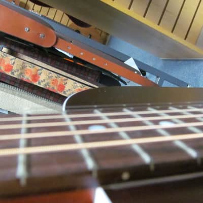 Seagull Guitars Entourage Acoustic Guitar - Autumn Burst image 5