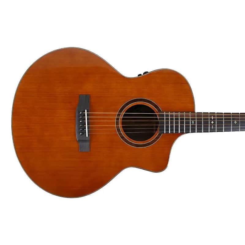Willow Creek FX-PG73 Ebony Deluxe Acoustic Grand Auditorium Guitar w/ Effects image 1