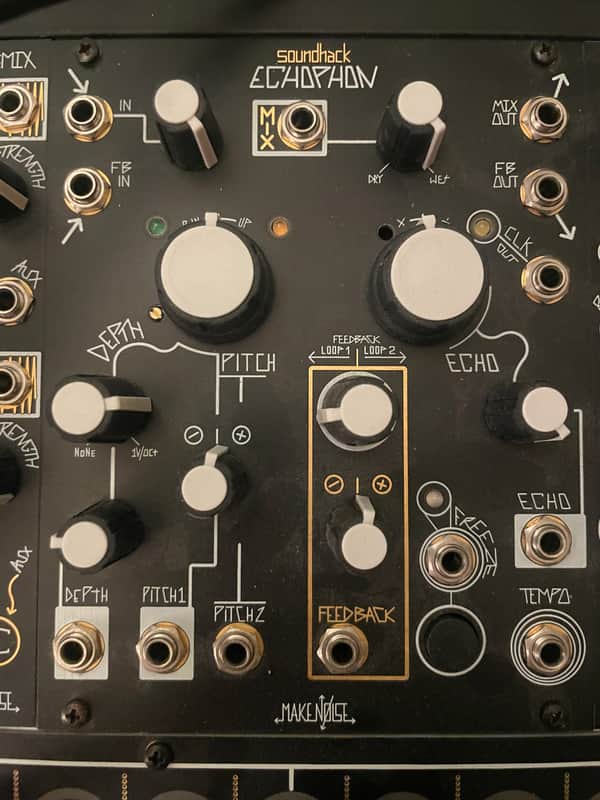 Make Noise Echophon Module 2008 - Present - Black & Gold image 1