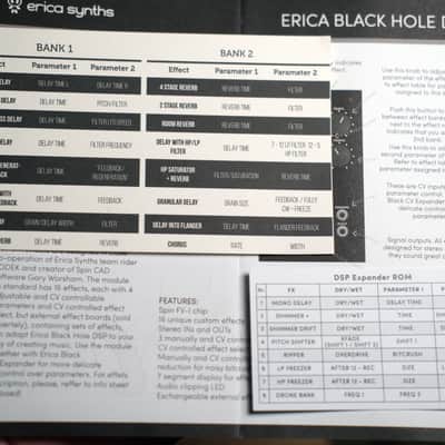 Erica Synths Black Hole DSP + Expander ROM! image 3