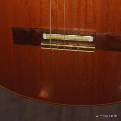 Gibson Chet Atkins 1981 - Natural image 1