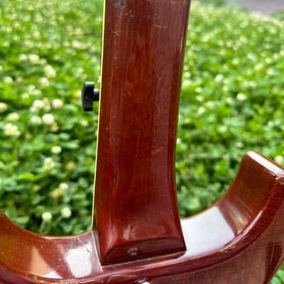 1959 Gibson Les Paul Special Double Cutaway - Cherry! image 20