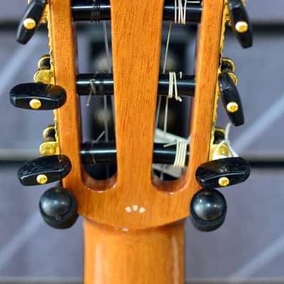 Cordoba Iberia C7-CE-Cedar Electro Nylon Guitar image 5