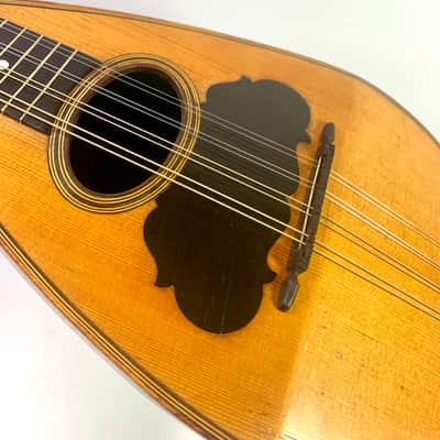 Stridente Student Model Mandolin early 1900's image 14