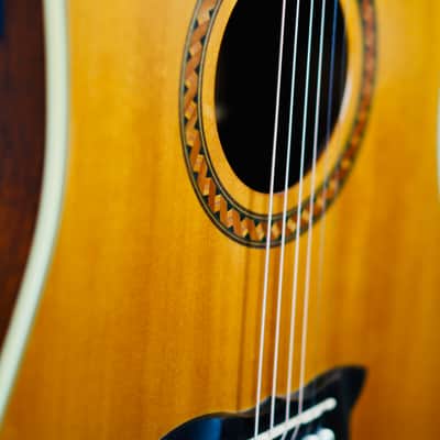 Washburn WD32SCE (2004) – Solid Sitka Spruce – Cutaway Acoustic-Electric – B-Band Pickup image 10