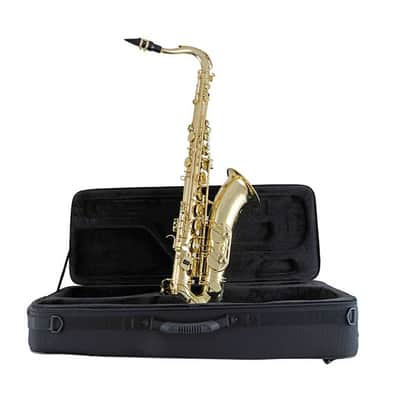 Selmer STS711 Professional Bb Tenor Saxophone image 4