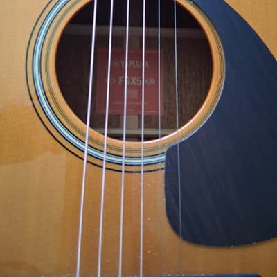 Yamaha FGX5 Red Label Dreadnought 2026 - Natural image 14