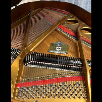 5'10 Grand Piano – Polished Ebony Sojin DG-2 image 7