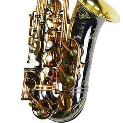 P. Mauriat PMXA-67R Alto Saxophone - Black Nickel Plated with Gold Lacquer Keys image 1