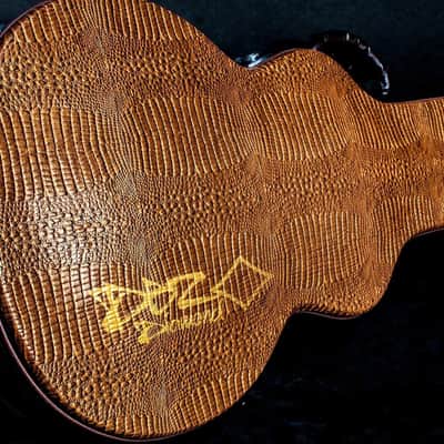 NEW WASHBURN PARALLAXE PXL 20 Black Guitar EMGs DBZ BOLERO CASE *DEMO VIDEO* image 9