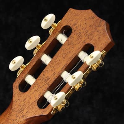 TAYLOR Jason Mraz Signature Model Nylon JMSM [1206012081] (06/15) image 11