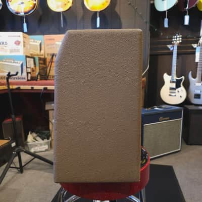 Used Fender Brown Princeton Amp 6G2 1962 w/Non Original Cover image 3
