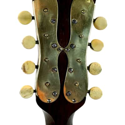 C.A. Kisslinger Decorated Curved-Ribs Mandolin, 1901 image 13