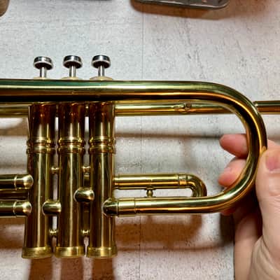 Parrot Trumpet model NO.6416 image 10