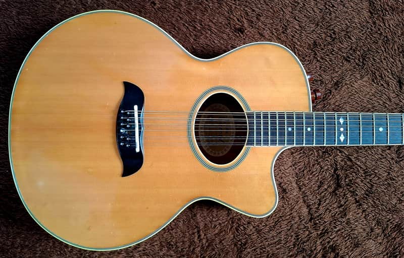 Extremely Rare Vintage 1980s Aria Elecord Model FET-65-12 12 String With Electronics And Arched Top And Bottom image 1