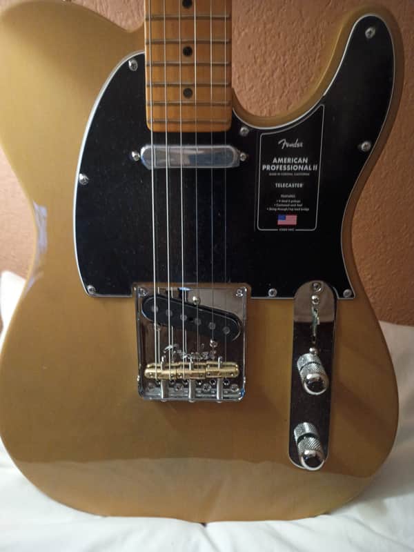 Fender American Professional II Telecaster Ash With Roasted Maple Fretboard 2023 - 2024 - Butterscotch Blonde image 1