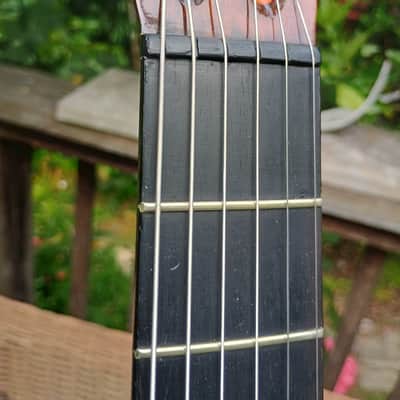Washburn New Model 1897 Style Parlor Guitar, 1897-9, restored image 10