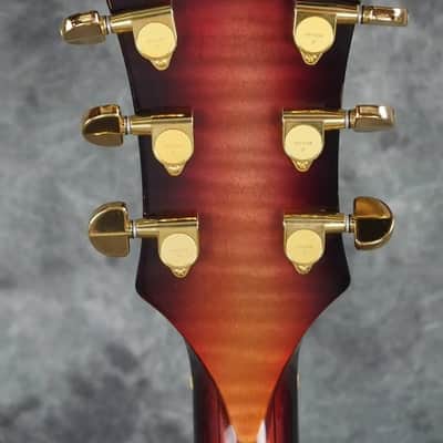 Alembic Skylark 6 String 25.5 inch Long Scale Electric Guitar with Case image 7