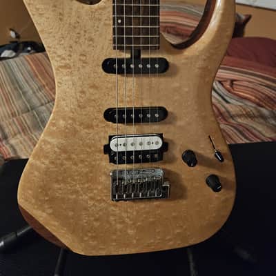 U.S. Masters Guitar Works Custom Built Vector ( Super Strat ) 2000s Cream Cloud Burst image 1