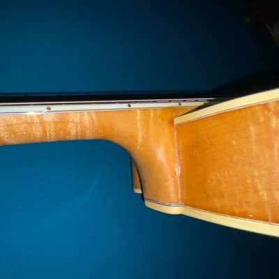 1953 D’Angelico Blond Cutaway New Yorker image 6