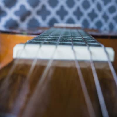 Gibson C-1 1958 Classic Laredo Acoustic Guitar image 18