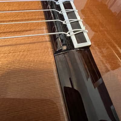 MINT Cordoba C9 Parlor with Barbera Pickup image 2