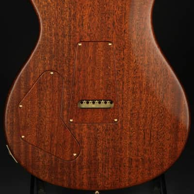 Paul Reed Smith Private Stock #5964 Limited Edition DGT Semi-Hollow with F-Holes - Birds of a Feather - April Guitar image 4