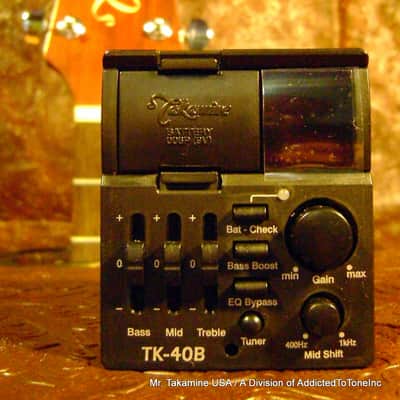 Takamine TK-40B BASS G Series Acoustic BASS Guitar preamp NEW image 3