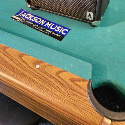 EarCandy Shirley 20W 1x12 Compact With Warehouse Speaker image 2