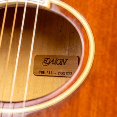 Daion The Year Series '81 Caribou - Brown (BR) - Electric Acoustic Six String image 6