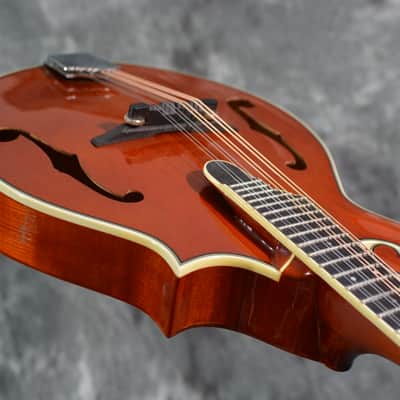 Michael Kelly Legacy Plus F Style Mandolin w Deluxe Hardshell Case & FAST Shipping image 7