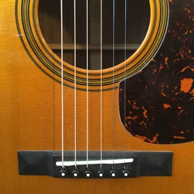 Rare 2007 Martin D-21 Special all wood bindings no plastic! image 1