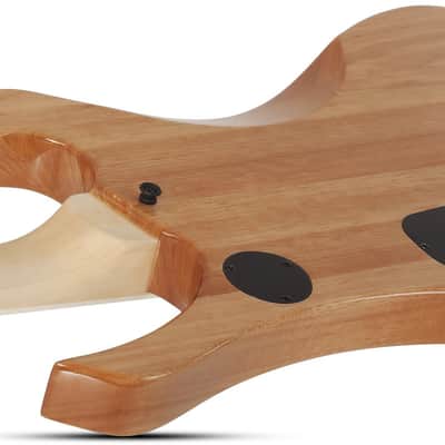 Schecter Goregehn - Cocobolo Psychic Bullseye (4576) image 3