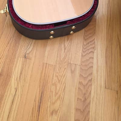 Taylor Legacy 810e 2025 - Present - Natural image 10
